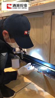 專業(yè)食品工廠 醫(yī)院 學(xué)校 酒店 蟲鼠害防治消殺管理